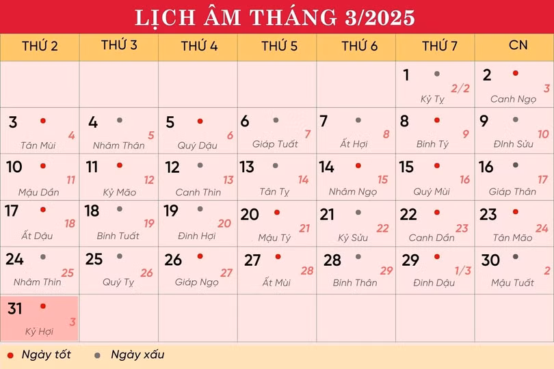 lich-31-3-8991.jpg