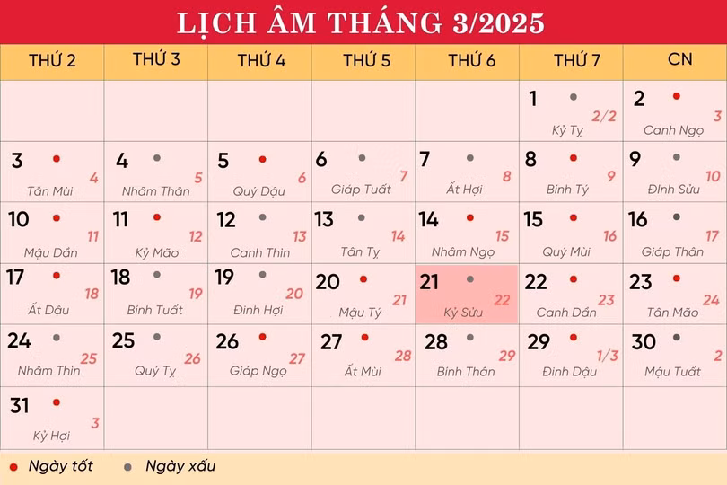 lich-21-3-2658.jpg
