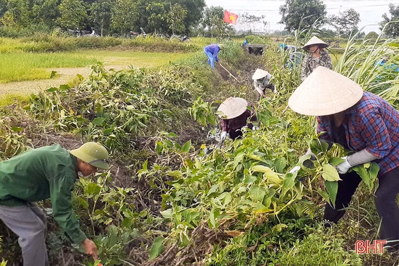 Thi đua chào mừng đại hội hội nông dân các cấp ở Hà Tĩnh