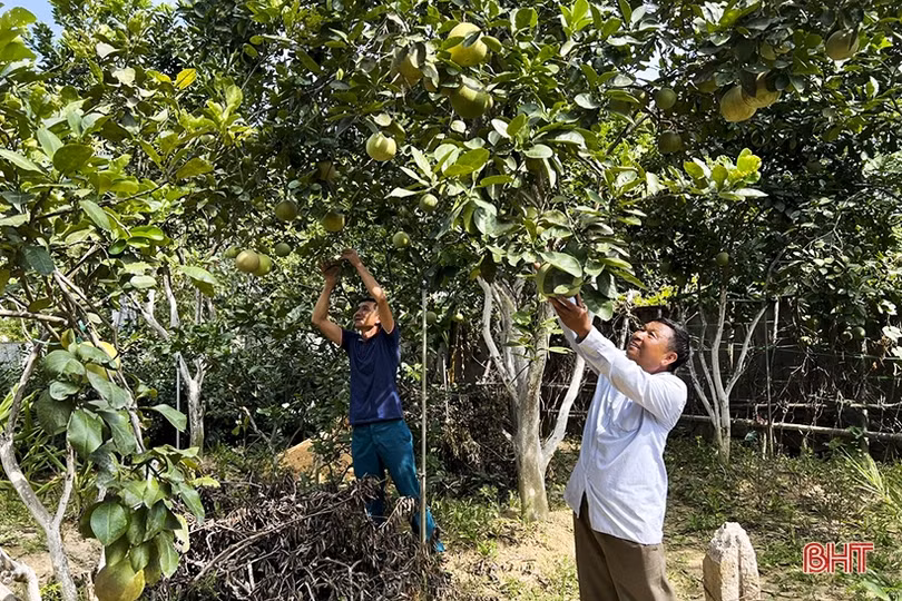 Thăm khu dân cư nông thôn mới kiểu mẫu Vĩnh Đại