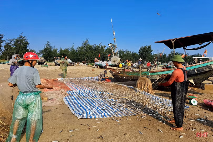 Mừng Quốc khánh, ngư dân Nghi Xuân hăng say bám biển