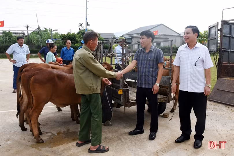 Trao 45 con bê cho các hộ nghèo ở Hà Tĩnh