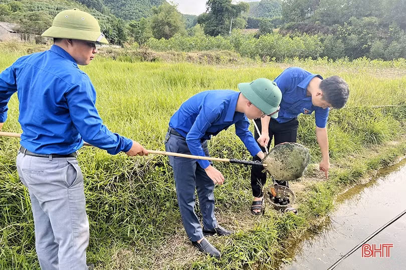 Tuổi trẻ Vũ Quang lắp đặt đường điện, ra mắt mô hình kinh tế