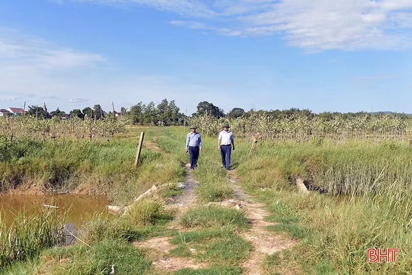 Người cựu chiến binh và nỗ lực cải tạo bãi bồi ven sông La