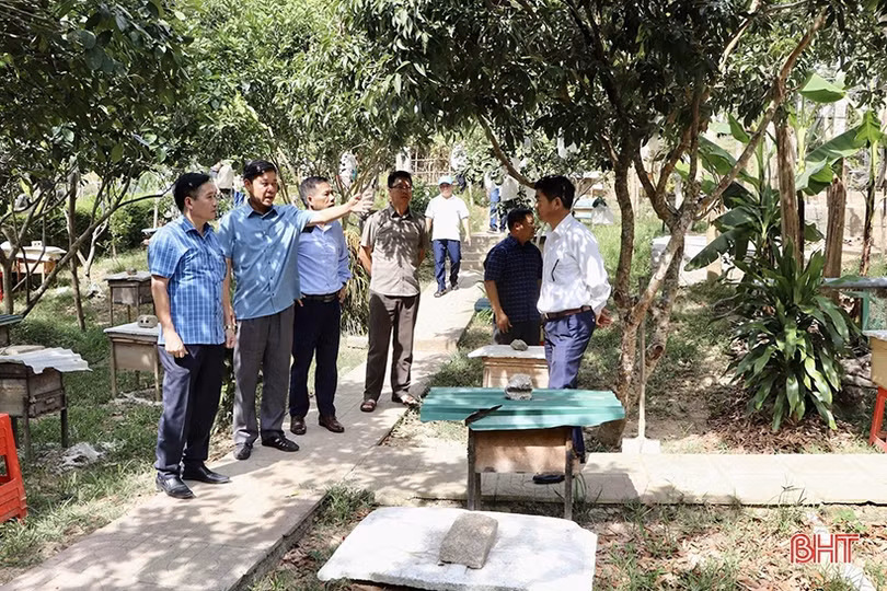 Xã miền núi Vũ Quang dồn sức xây dựng nông thôn mới kiểu mẫu