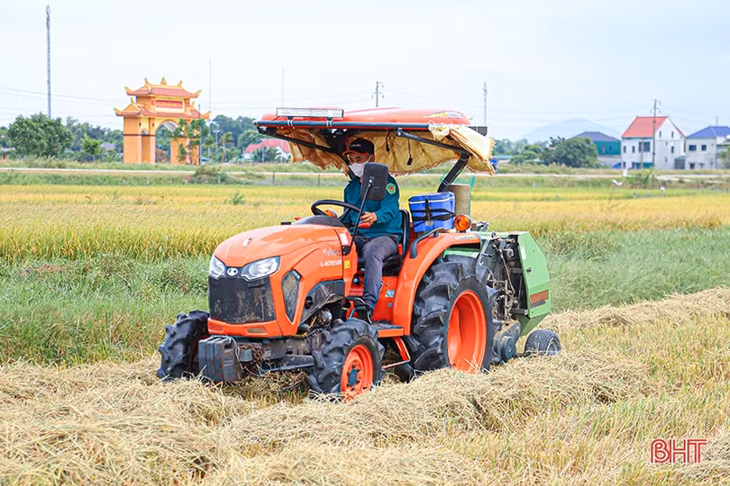 Nông dân Hà Tĩnh phấn khởi xuống đồng thu hoạch lúa hè thu