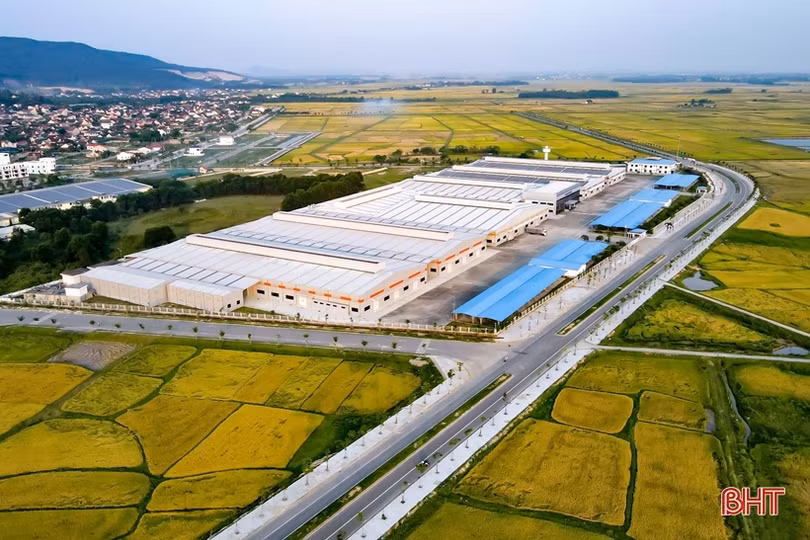 Vang mãi bản hùng ca!