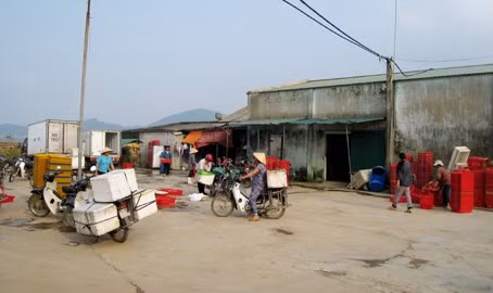 Để chuyển ra địa điểm mới đáp ứng yêu cầu phát triển SXKD, ngoài nguồn nội lực, HTX Hùng Mạnh đang rất cần sự hỗ trợ từ các nguồn vốn ưu đãi Để chuyển ra địa điểm mới đáp ứng yêu cầu phát triển SXKD, ngoài nguồn nội lực, HTX Hùng Mạnh đang rất cần sự hỗ trợ từ các nguồn vốn ưu đãi