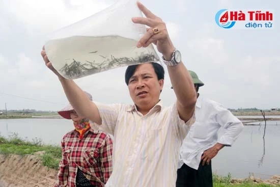 Truy xuất nguồn gốc tôm giống: Yếu tố quyết định thành bại trong NTTS! ảnh 1