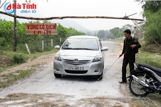 Xuất hiện dịch lở mồm long móng trên gia súc tại huyện Kỳ Anh ảnh 1