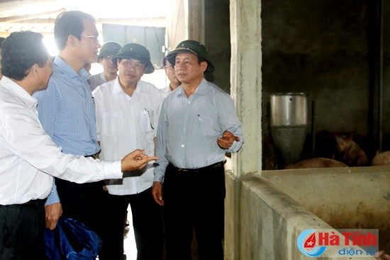 Nghi Xuân cần phát huy tiềm năng, đẩy mạnh sản xuất theo chuỗi giá trị ảnh 1 Nghi Xuân cần phát huy tiềm năng, đẩy mạnh sản xuất theo chuỗi giá trị ảnh 1