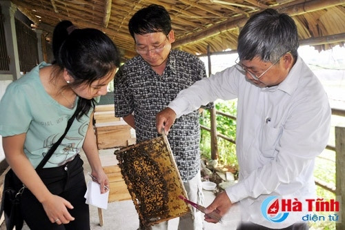 Sức mạnh đại đoàn kết trong xây dựng nông thôn mới ở Vũ Quang ảnh 2