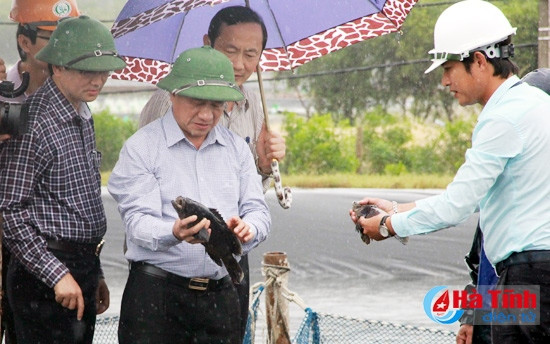Hà Tĩnh hoàn toàn nuôi được cá bơn, cá mú trên vùng đất cát ảnh 2 Hà Tĩnh hoàn toàn nuôi được cá bơn, cá mú trên vùng đất cát ảnh 2