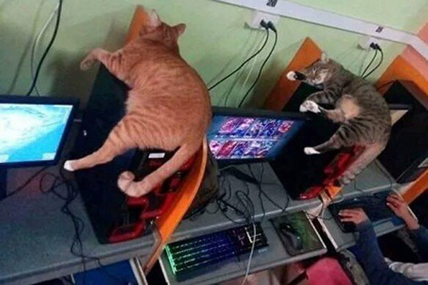 Hai bố con “lên đồ” đi đổ rác