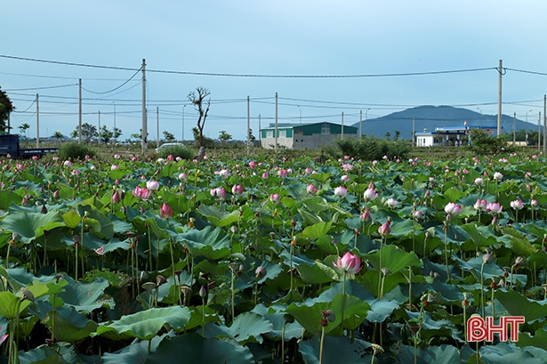 Thạch Hưng hoàn thiện, nâng “chất” tiêu chí nông thôn mới