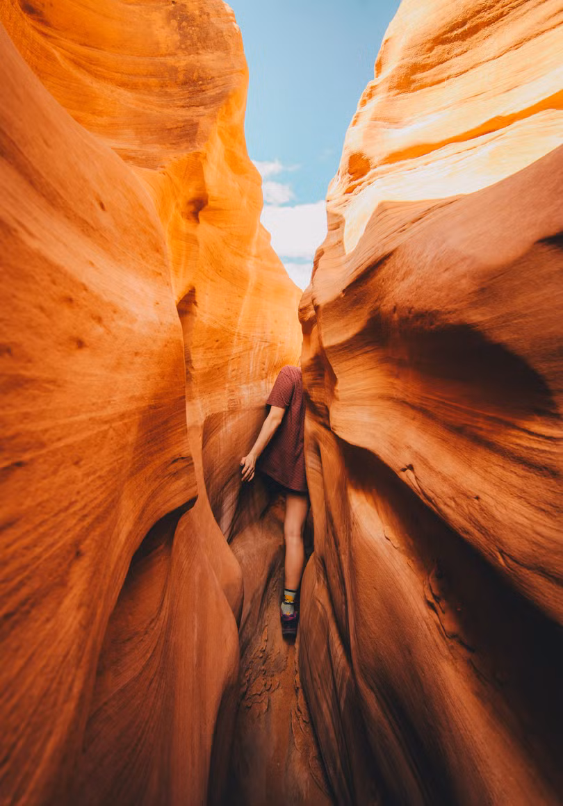 Ngắm ảnh thiên nhiên tuyệt đẹp đoạt giải của The Nature Conservancy năm 2018