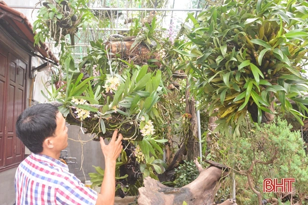 Trồng lan - thú chơi “gây nghiện”