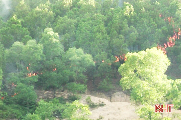 Cháy rừng tại Đức Thọ