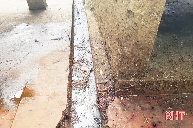 Lò mổ gây ô nhiễm, người dân “sống khổ” đến bao giờ?!