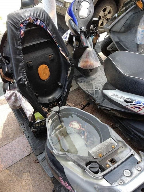 Thư giãn với những hình ảnh hài hước