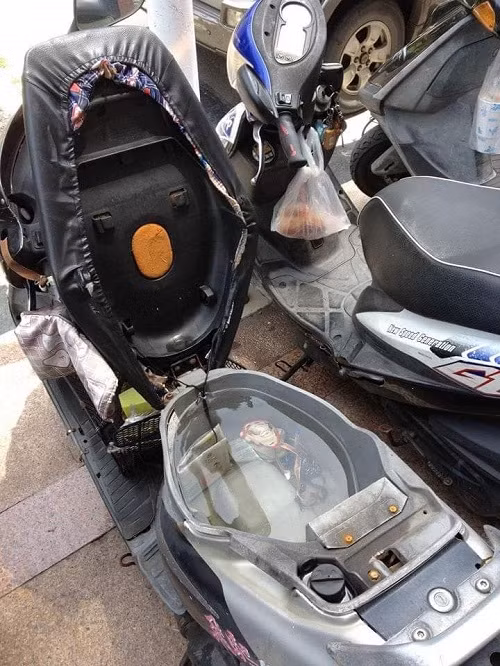 Thư giãn với những hình ảnh hài hước