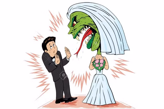 Hôn nhân: chồng thì ngậm đắng, vợ thì phun cay