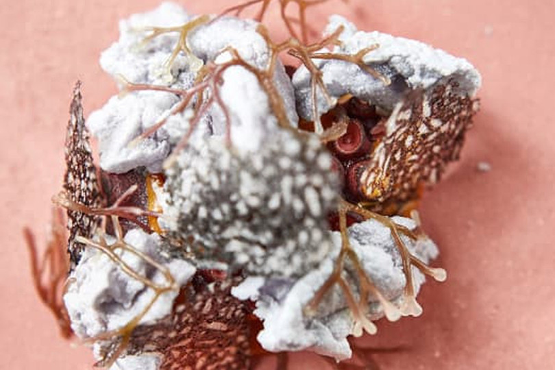 Lộ diện 10 nhà hàng xuất sắc nhất thế giới ảnh 7 Lộ diện 10 nhà hàng xuất sắc nhất thế giới