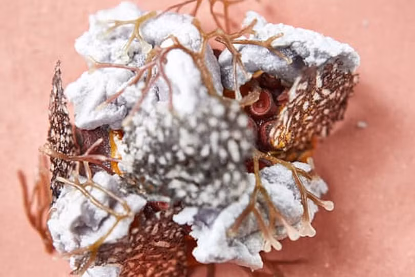 Lộ diện 10 nhà hàng xuất sắc nhất thế giới