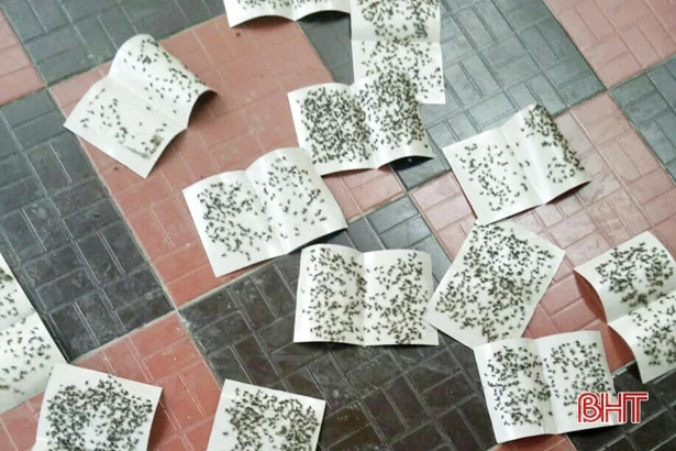 Lò mổ gây ô nhiễm, người dân “sống khổ” đến bao giờ?!