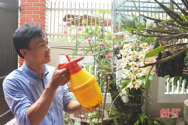 Trồng lan - thú chơi “gây nghiện”