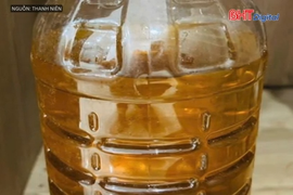 Dầu ăn trong chăn nuôi là gì, gây hại ra sao khi dùng chế biến thực phẩm?