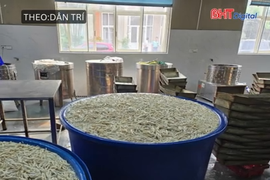 Phát hiện 13 tấn chân gà được tẩy trắng bằng hóa chất ở kho đông lạnh