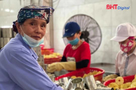 Nhiều giải pháp hỗ trợ người cao tuổi tìm việc, phát huy kinh nghiệm