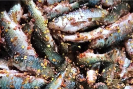 Bộ Y tế cảnh báo nguy cơ ngộ độc với thực phẩm đóng gói kín, lên men