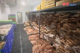 Triệt phá đường dây sản xuất 50 tấn thịt nai, dê, nhím giả