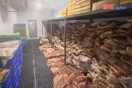 Triệt phá đường dây sản xuất 50 tấn thịt nai, dê, nhím giả