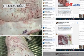 Không khởi tố hình sự vụ Công ty C.P Việt Nam bị tố bán thịt heo bẩn