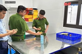 Thu giữ hơn 23.000 sản phẩm yến chưng giả