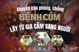 [Infographic] Khuyến cáo phòng, chống bệnh cúm lây từ gia cầm sang người