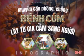 [Infographic] Khuyến cáo phòng, chống bệnh cúm lây từ gia cầm sang người