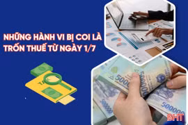 [Motion Graphics] Những hành vi bị coi là trốn thuế từ ngày 1/7