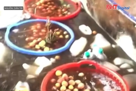 Sự thật đằng sau video "ngâm vải trong thuốc" gây hoang mang