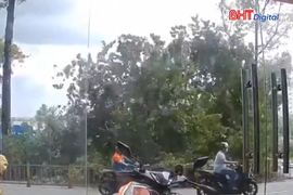 Cây to bật gốc, đè lên người tham gia giao thông