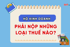 [Motion graphics] Hộ kinh doanh phải nộp những loại thuế nào?