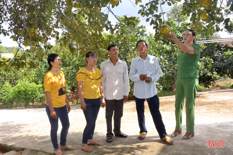 Chuyện những gia đình kiểu mẫu ở vùng quê nông thôn mới miền núi Hà Tĩnh