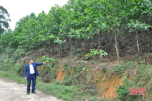 Noi gương Bác, Bí thư chi bộ Nguyễn Văn Bát làm nhiều việc ý nghĩa