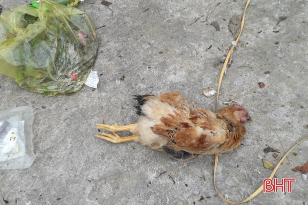 Bãi tập kết rác thải gây ô nhiễm, người dân Xuân Giang “kêu” chưa thấu!