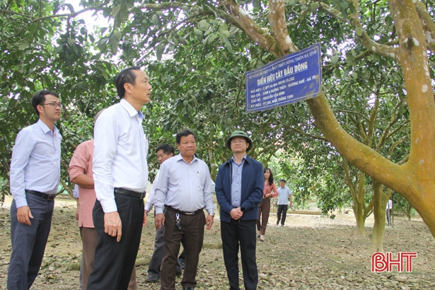 Hương Khê phát triển kinh tế vườn, nâng cao chất lượng cuộc sống cho người dân