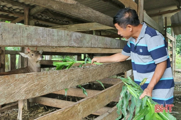 Noi gương Bác, Bí thư chi bộ Nguyễn Văn Bát làm nhiều việc ý nghĩa