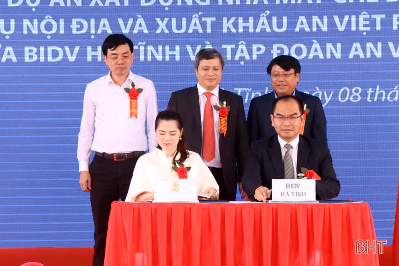 Khởi công nhà máy sản xuất, chế biến lâm sản gần 1.300 tỷ đồng tại KKT Vũng Áng